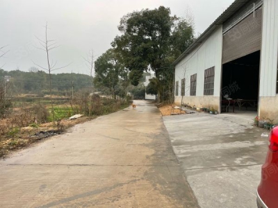 湘潭市雨湖区 锰矿方向，响水乡全新独立厂房出租图3