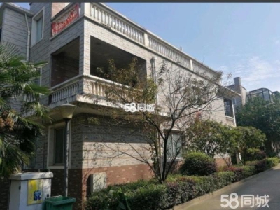 湘潭市雨湖区 北二环临街毛坯别墅，三层，带车库，适合做仓库，24小时门卫图1