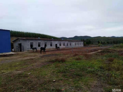(出租) 出租平定平阳路（岔口乡北头岭村大型养殖场）图2