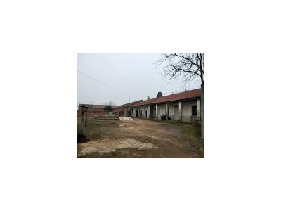 (出售)荆门 钟祥市洋梓镇高林村 仓库出售 3000平米图4