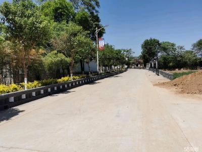 (出租) 咸阳泾河新城大型仓储物流园区高标丙二类仓库招租图3