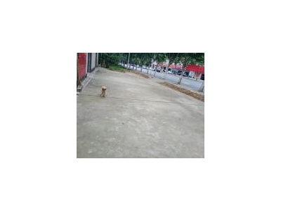 (出租) 荆门钟祥交通便利水电齐全心动行动图1