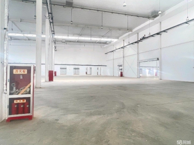 (出租) 咸阳泾阳县高泾大道高标仓仓库 库房 丙二类库图4