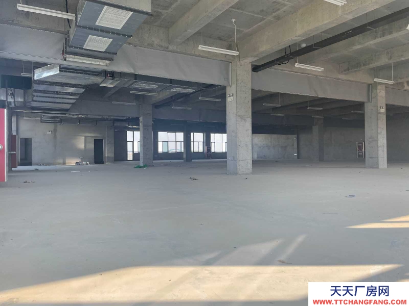(出租)咸阳渭城 秦汉新城管委会直属园区1100-4700平现房招商