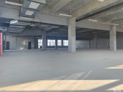 (出租)咸阳渭城 秦汉新城管委会直属园区1100-4700平现房招商图4