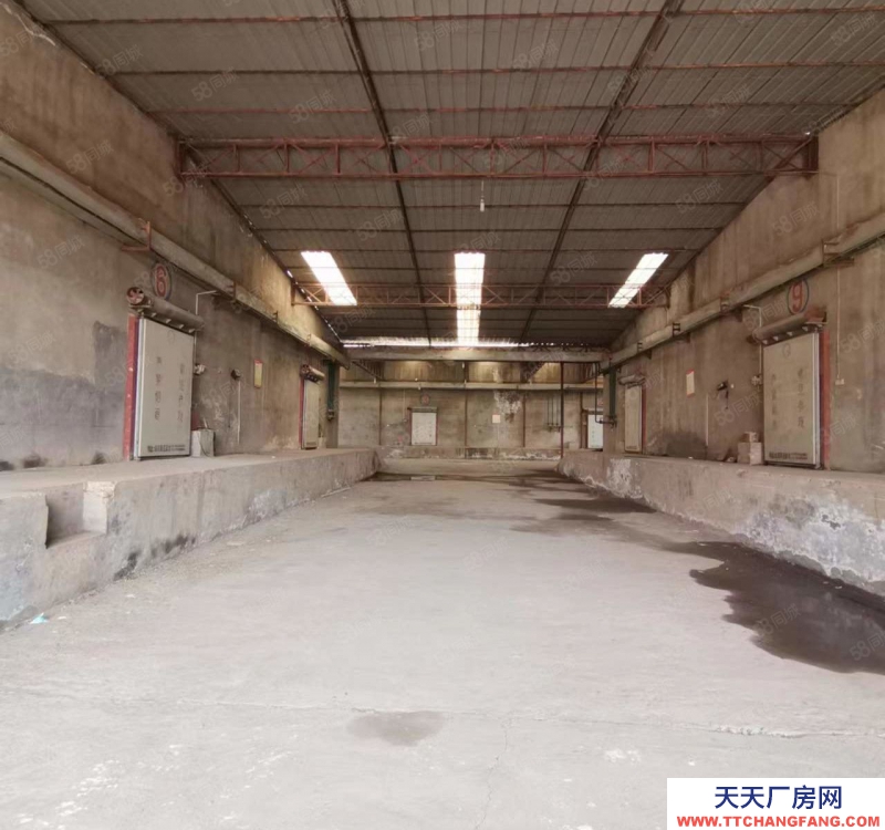 (出租) 咸阳礼泉县5000平厂房可改造 可做有噪音和污染行业
