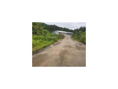(出租) 咸宁通城出租 招商 通城通城城区图2
