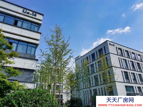常州金坛新建厂房800平~8000平 面积多选 交通便利