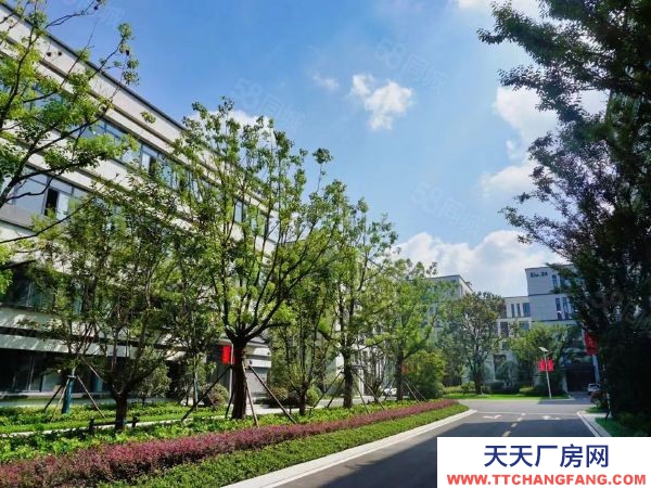 常州金坛新建厂房800平~8000平 面积多选 交通便利