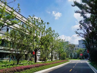 常州金坛新建厂房800平~8000平 面积多选 交通便利图2