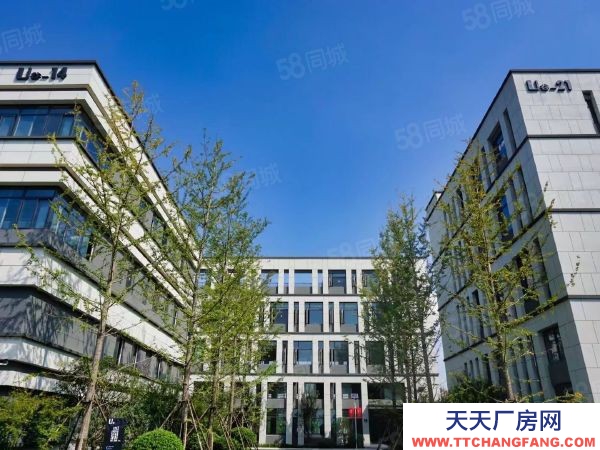 常州金坛新建厂房800平~8000平 面积多选 交通便利