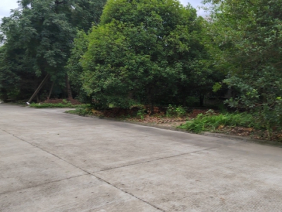 成都市崇州经济开发区34亩双证重钢结构厂房出售可贷款图6