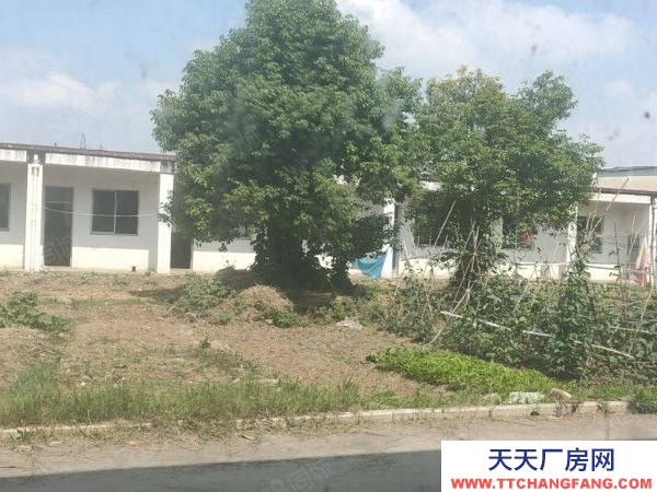 常州金坛原房东，独门独院，3300平，单层火车头厂房，120元
