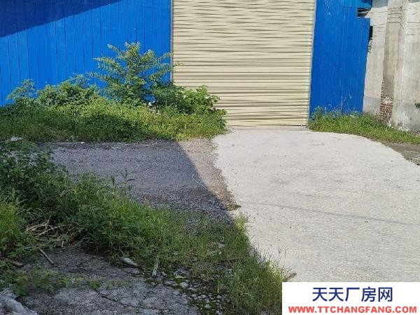 (出租)咸宁赤壁 1栋钢结构1栋砖结构