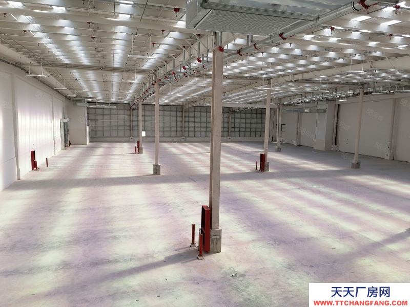 宁波奉化(出租) 甲方直租奉化方桥高标仓，丙二类消防，9米高。