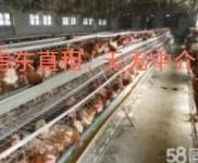 (出租)鄂州梁子湖 临近王家铺，有学校，可做各类仓库，厂房等