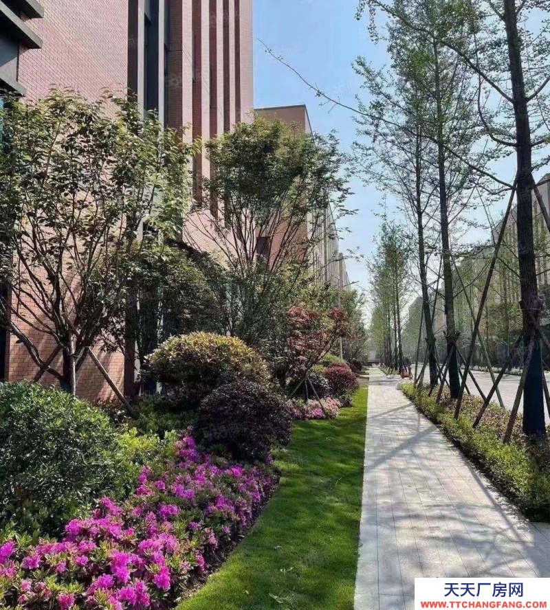 宁波奉化(出租) 奉化 江口启迪工业园 二楼全新935平 环境好