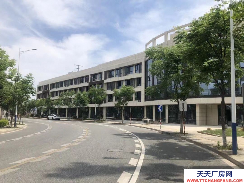 温州鹿城(出租) 沿江工业区沿兴路沿街厂房720至2160平方独门独院可分租