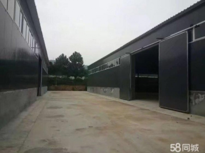(出租) 渭南临渭西入口500米，仓库500一 6000平米图4
