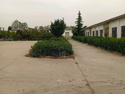 (出租) 渭南蒲城具备加工，仓库，周转，一体化配套设施，图4