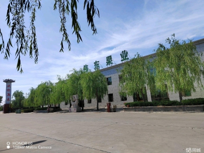 (出租) 渭南大荔2022伟东冷库出租招商图2