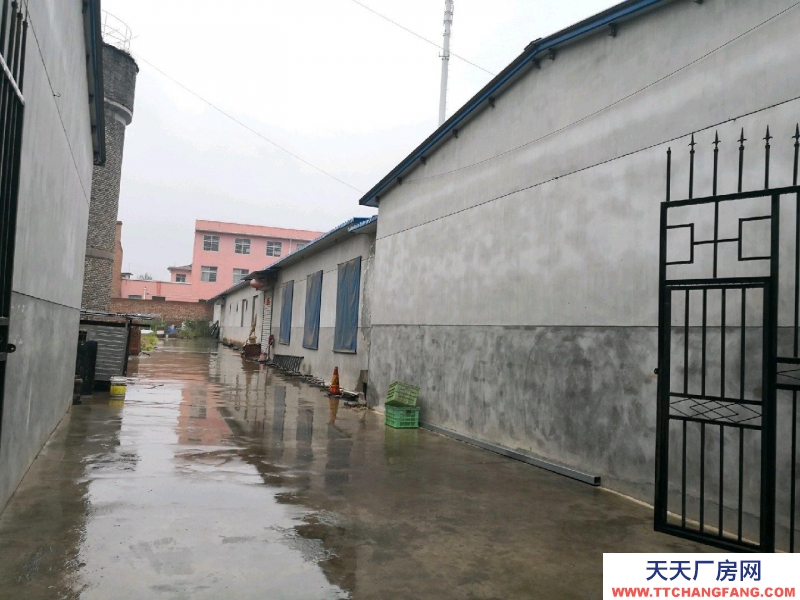 (出租)宝鸡陈仓 仓储、库房、独院出租