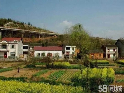 (出租) 宝鸡岐山蔡家坡另胡村200平方钢结构库房整体出租图1