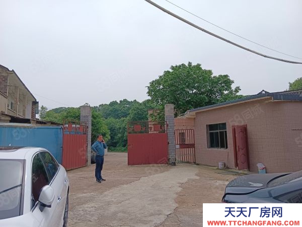 湘潭市湘潭县河口镇独门独院工业厂房，有行车和地磅