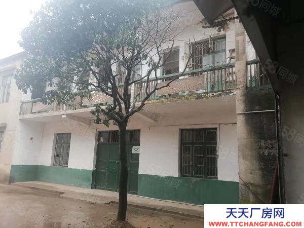 湘潭市湘潭县 标准厂房低价出租无中介费交通便利带仓库出租