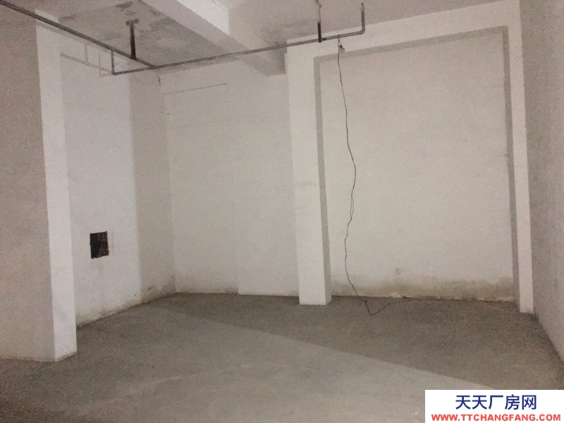 出租高新区天府大道四河地铁旁仓库