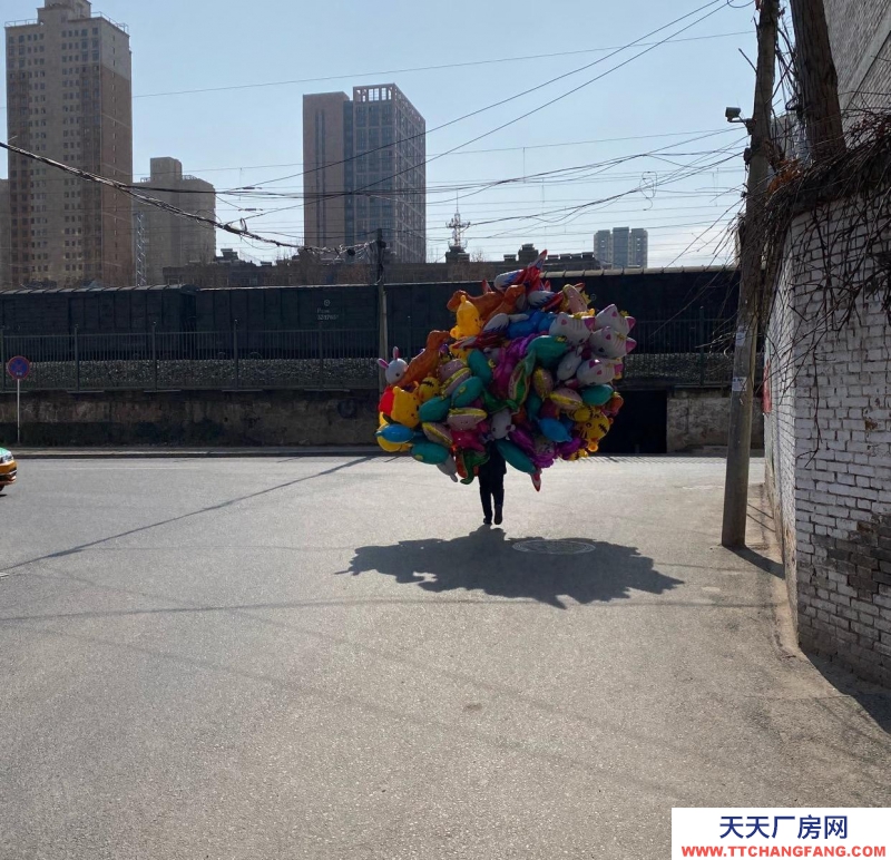 (出租) 宝鸡金台十里铺铁路北厂房、出租 厂房 1000平米