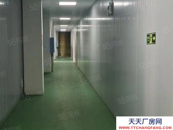 湘潭市湘乡区振湘路正志大厦旁房东自建标准厂房仓库优价出租