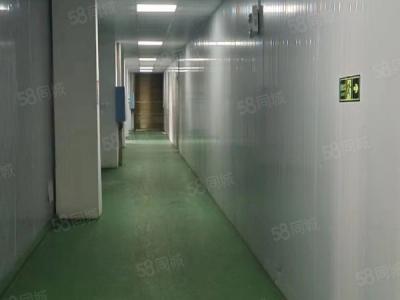 湘潭市湘乡区振湘路正志大厦旁房东自建标准厂房仓库优价出租图3