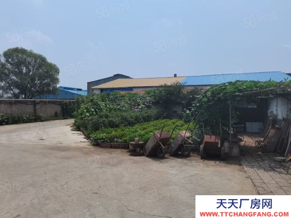 临沂罗庄区付庄镇带院厂房出租