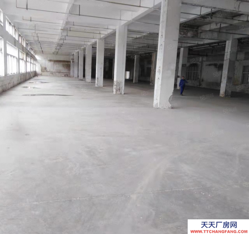 温州龙湾(出租) 出租海工大道一楼1500平方，楼上2300平方