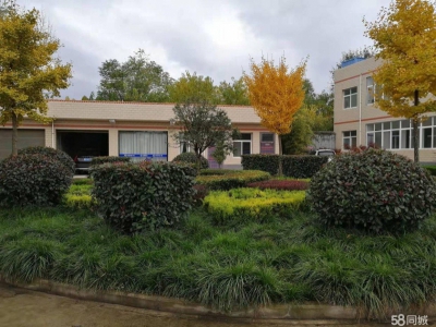 (出租) 宝鸡凤翔大面积办公厂房出租图3