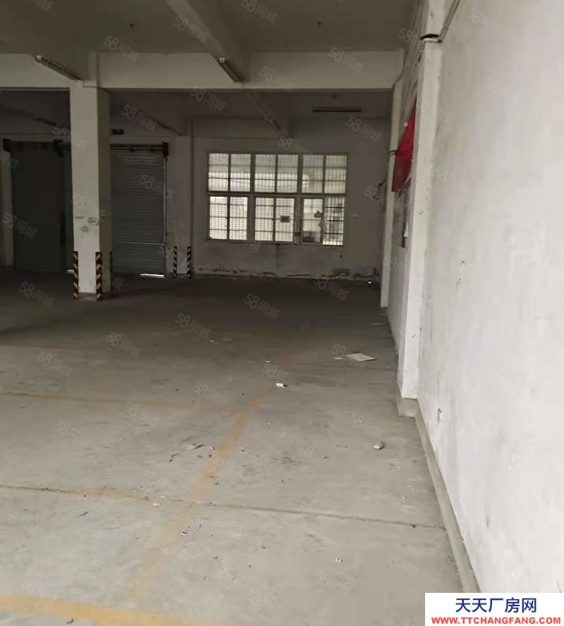 温州龙湾(出租) 蒲州街道标准厂房出租，半挂大车好进，方正好用，面积可以分。
