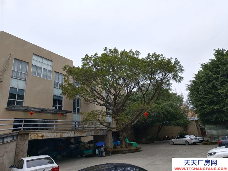 温州龙湾(出租) 状元厂房仓库1180平方一个层面有货梯框架结构