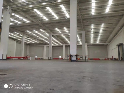 温州龙湾(出租) 滨海 瓯江口标准仓 楼面库3000至10000租 带月台