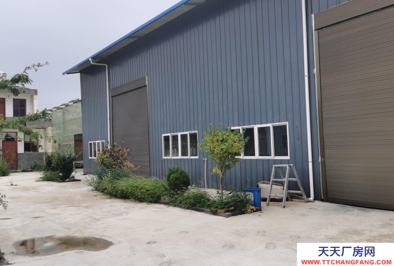 (出租) 宝鸡扶风便宜出租，也可转让，政府批准的建设用地