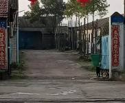 (出租) 仙桃仙源大道170号，三相电