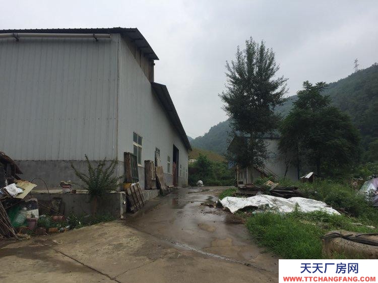 (出售)宝鸡渭滨 峪泉村独院厂房和地皮 转让