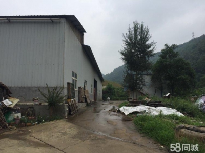 (出售)宝鸡渭滨 峪泉村独院厂房和地皮 转让图2