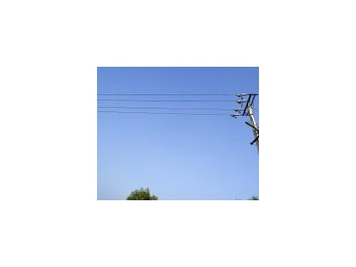 (出售) 仙桃诚心折价出售养殖场房， 省道直达 ！电力专线！图1