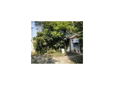 (出售) 仙桃诚心折价出售养殖场房， 省道直达 ！电力专线！图2