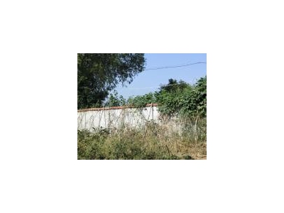 (出售) 仙桃诚心折价出售养殖场房， 省道直达 ！电力专线！图3