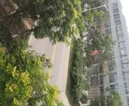 (出售) 仙桃出租出售三伏潭独立厂房二证齐全，自有土地