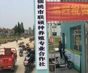 (出售)仙桃 有宿舍办公室，门卫冷藏库和制冰池齐全