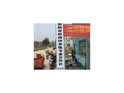 (出售)仙桃 有宿舍办公室，门卫冷藏库和制冰池齐全图3