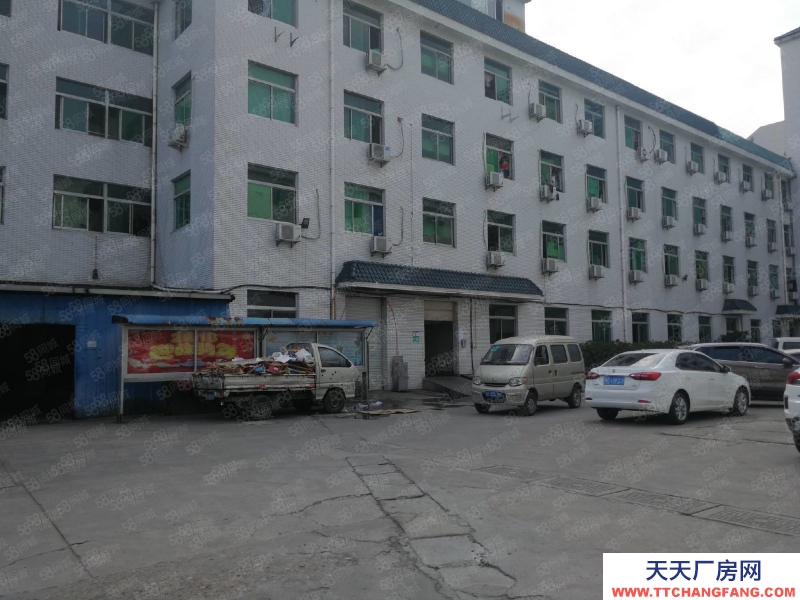 温州龙湾(出售) 温州大道8.2亩，建8000平，有宿舍，宜服装贸易电商类